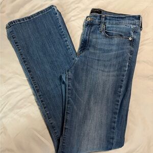 Banana Republic Women's Classic Straight Leg Denim Jeans